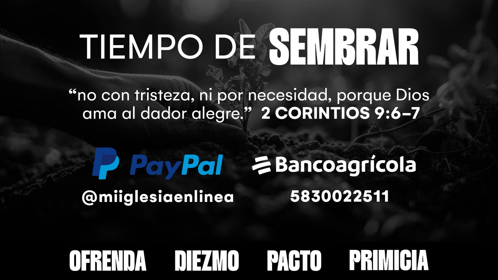 Tiempo de Sembrar - PayPal / Bancoagrícola